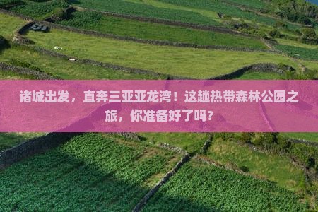 诸城去三亚亚龙湾热带森林公园攻略