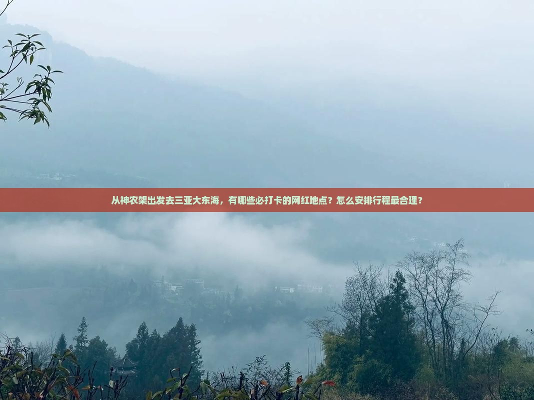 神农架出发三亚大东海旅游网红地点