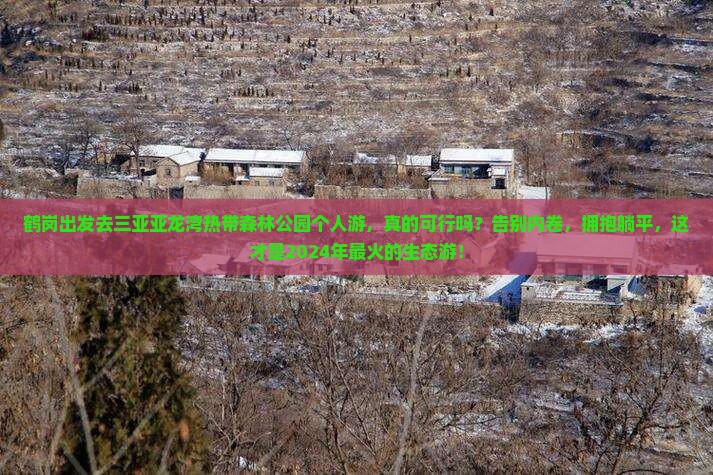 鹤岗前往三亚亚龙湾热带森林公园个人游