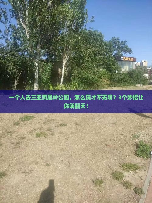 鹤壁前往三亚凤凰岭公园个人游