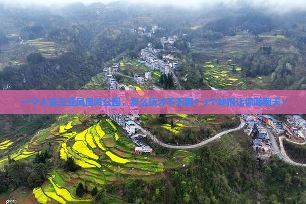 鹤壁前往三亚凤凰岭公园个人游