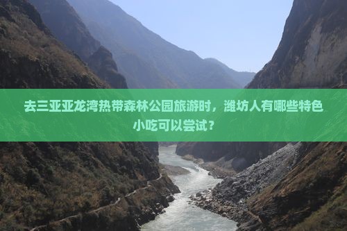 潍坊前往三亚亚龙湾热带森林公园旅游小吃