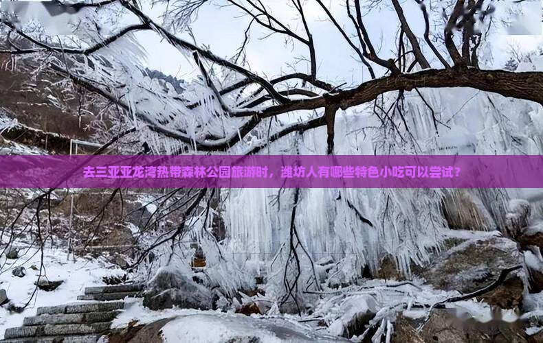 潍坊前往三亚亚龙湾热带森林公园旅游小吃