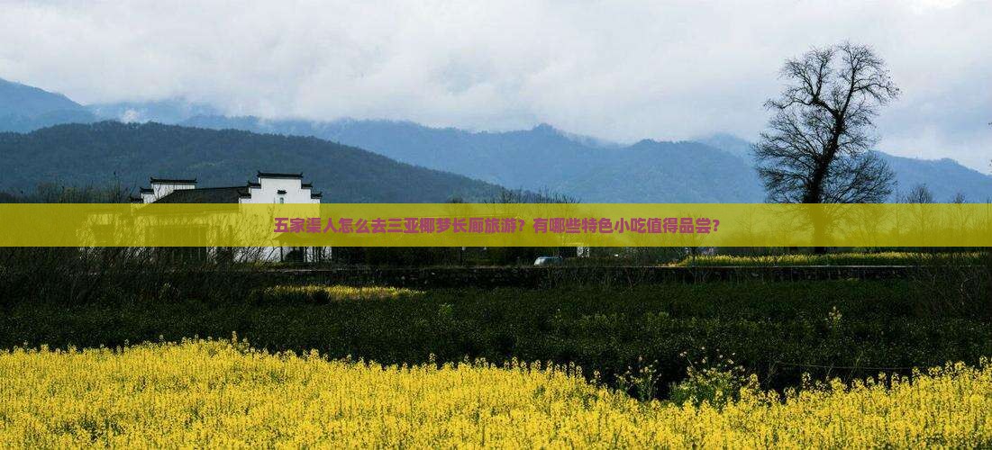 五家渠前往三亚椰梦长廊旅游小吃