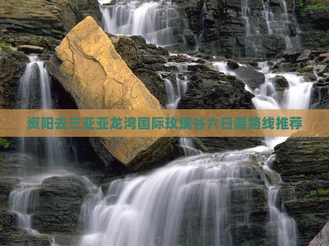 资阳去三亚亚龙湾国际玫瑰谷六日游