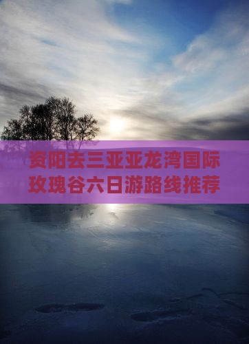 资阳去三亚亚龙湾国际玫瑰谷六日游