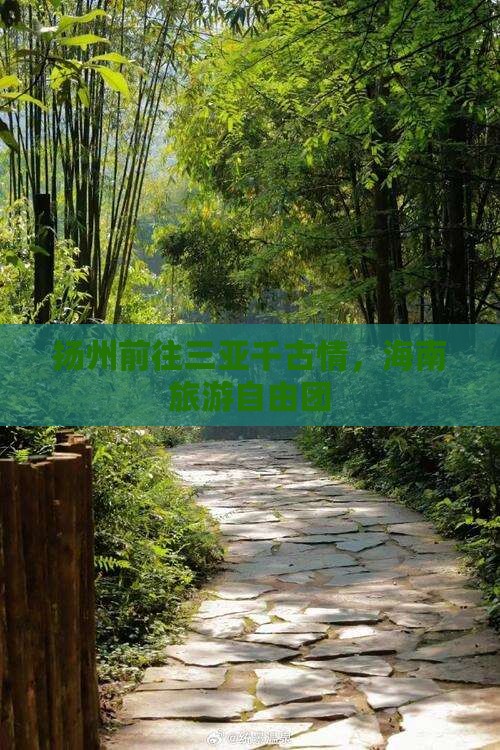 扬州前往三亚千古情自由团