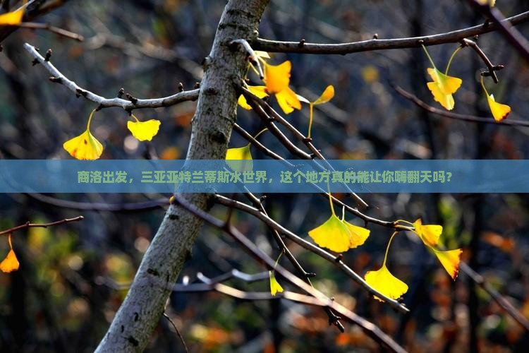商洛去三亚亚特兰蒂斯水世界必玩地