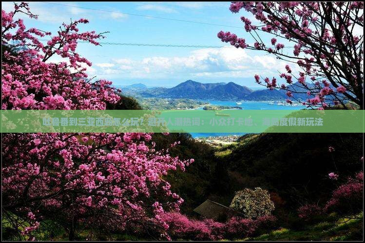 吐鲁番出发三亚西岛哪里玩