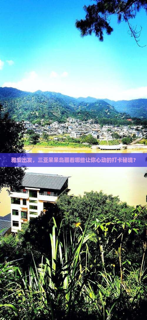 雅安去三亚呆呆岛旅游打卡点