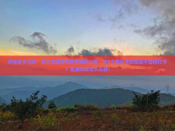 伊春出发三亚亚龙湾热带森林公园旅游网红地点