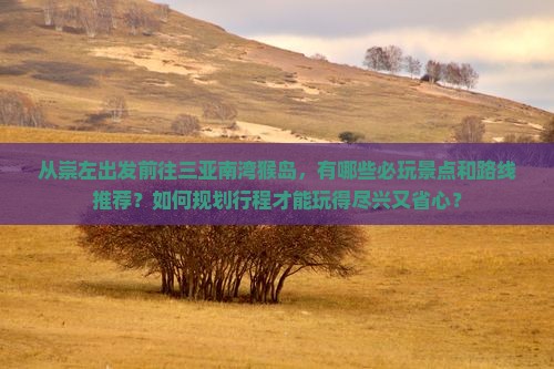 崇左前往三亚南湾猴岛必玩地