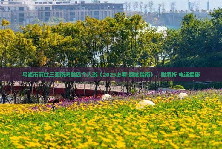 乌海市前往三亚南湾猴岛个人游