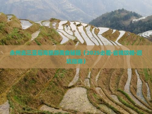 永州去三亚后海旅游小吃