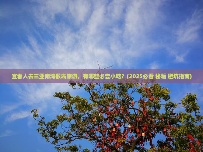 宜春前往三亚南湾猴岛旅游小吃