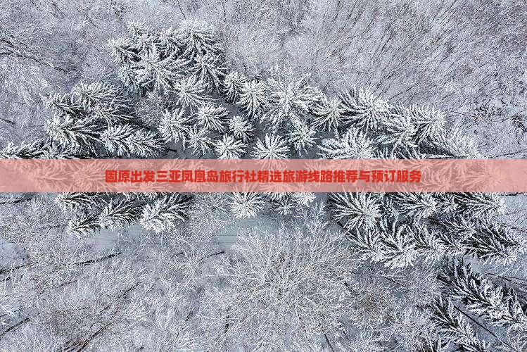 固原出发三亚凤凰岛旅行社