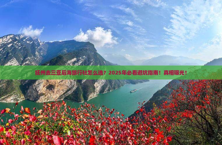抚州去三亚后海旅行社