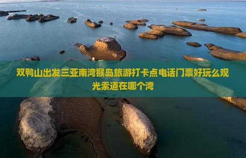 双鸭山出发三亚南湾猴岛旅游打卡点