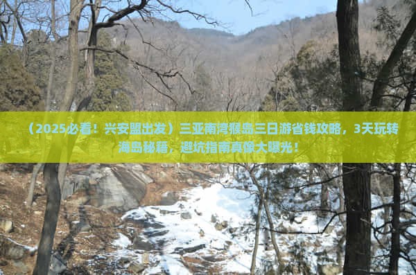 兴安盟前往三亚南湾猴岛三日游