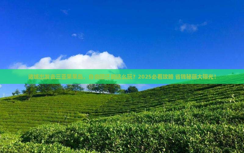 诸城去三亚呆呆岛自由团