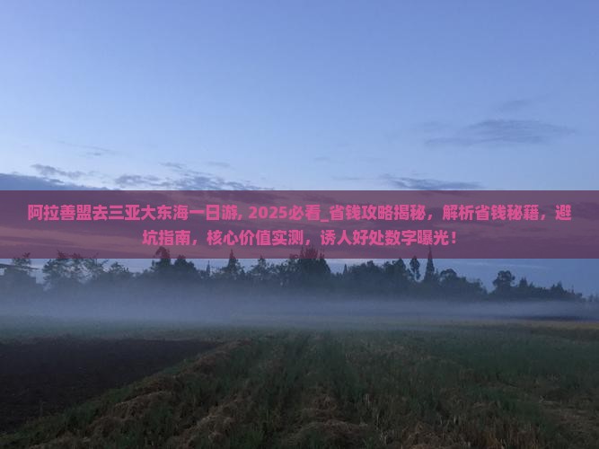 阿拉善盟去三亚大东海一日游
