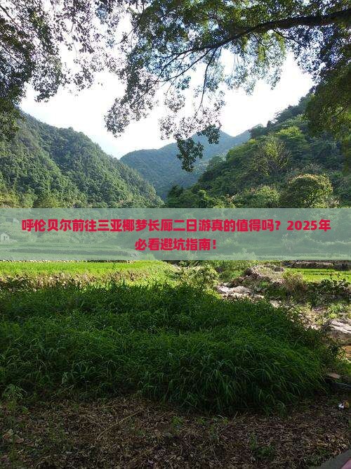 呼伦贝尔前往三亚椰梦长廊二日游