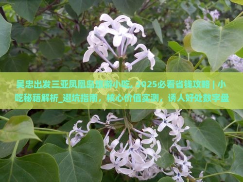 吴忠出发三亚凤凰岛旅游小吃