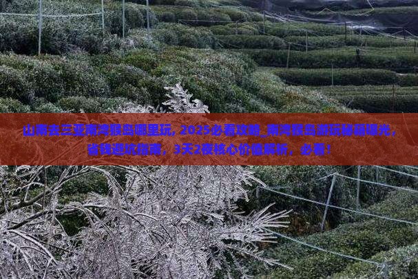 山南去三亚南湾猴岛哪里玩