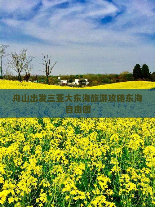 舟山出发三亚大东海自由团
