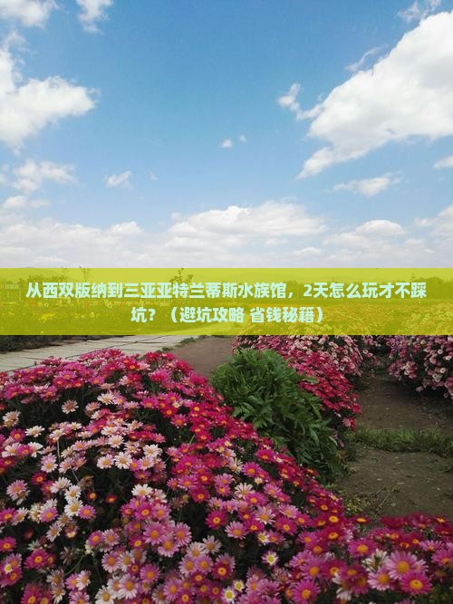 西双版纳前往三亚亚特兰蒂斯水族馆二日游