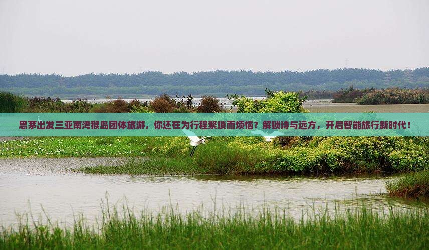 思茅出发三亚南湾猴岛团体旅游