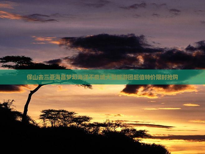 保山去三亚海昌梦幻海洋不夜城大型旅游团