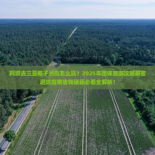 阿坝去三亚椰子洲岛团体旅游