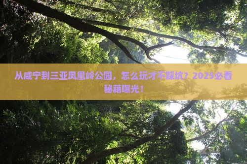 咸宁前往三亚凤凰岭公园必玩地