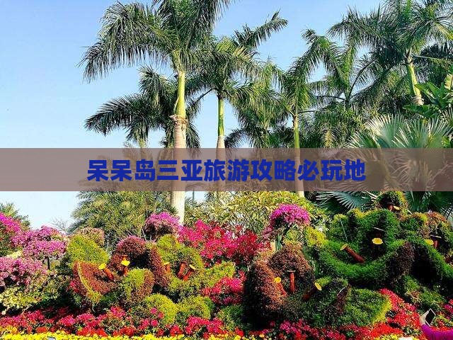 池州前往三亚呆呆岛必玩地