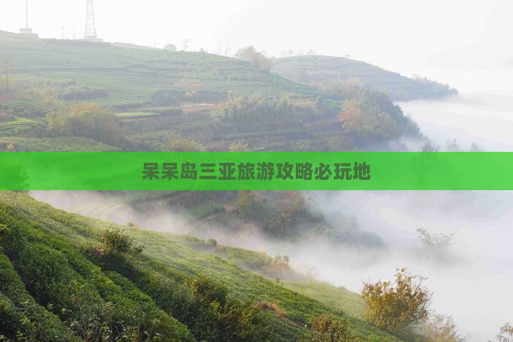 池州前往三亚呆呆岛必玩地