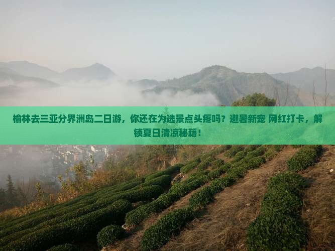 榆林去三亚分界洲岛二日游