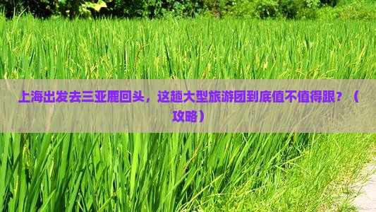 上海去三亚鹿回头大型旅游团