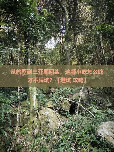 鹤壁去三亚鹿回头旅游小吃