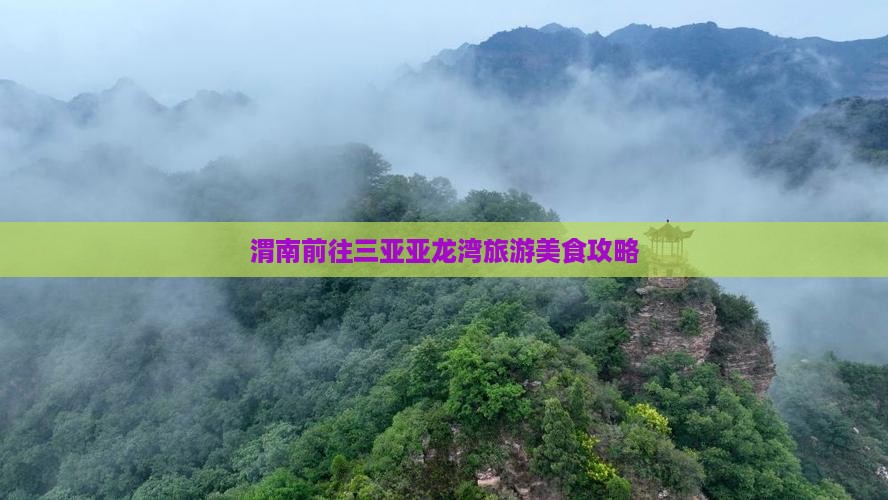 渭南前往三亚亚龙湾旅游小吃