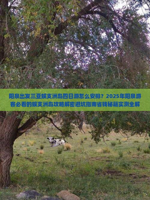 阳泉出发三亚蜈支洲岛四日游