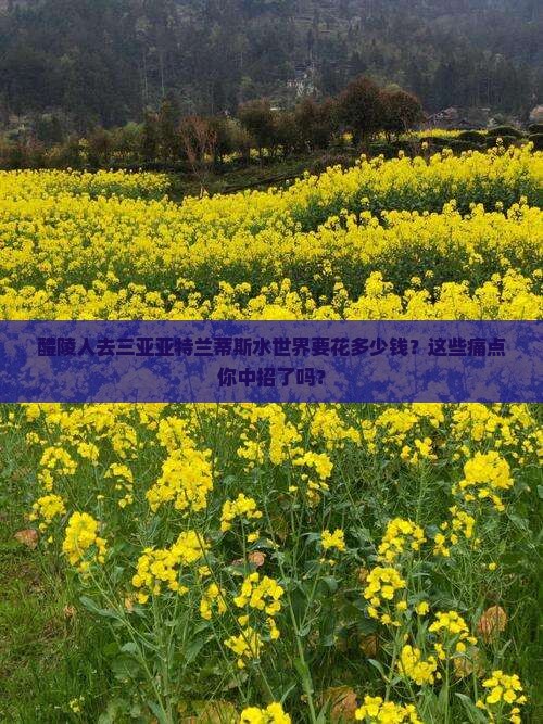醴陵前往三亚亚特兰蒂斯水世界大型旅游团