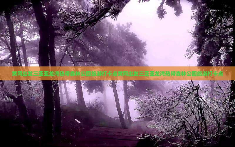 黄冈出发三亚亚龙湾热带森林公园旅游打卡点