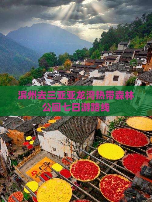 滨州去三亚亚龙湾热带森林公园七日游