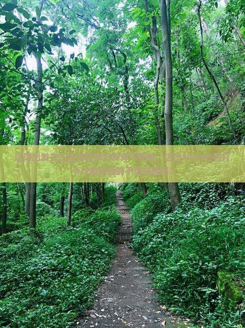 辽阳出发三亚海昌梦幻海洋不夜城旅游打卡点