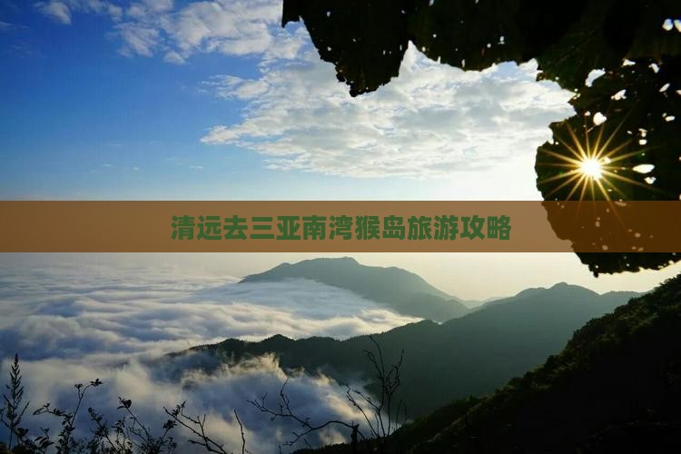 清远去三亚南湾猴岛攻略