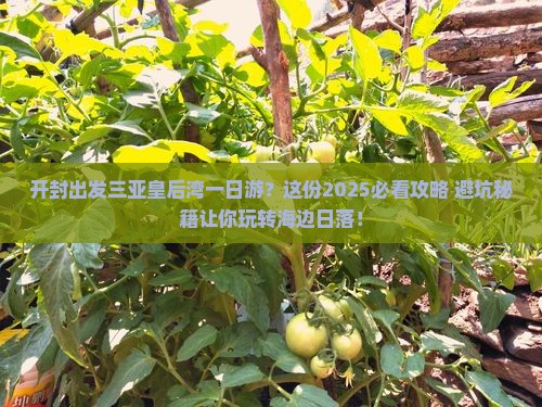 开封出发三亚皇后湾一日游