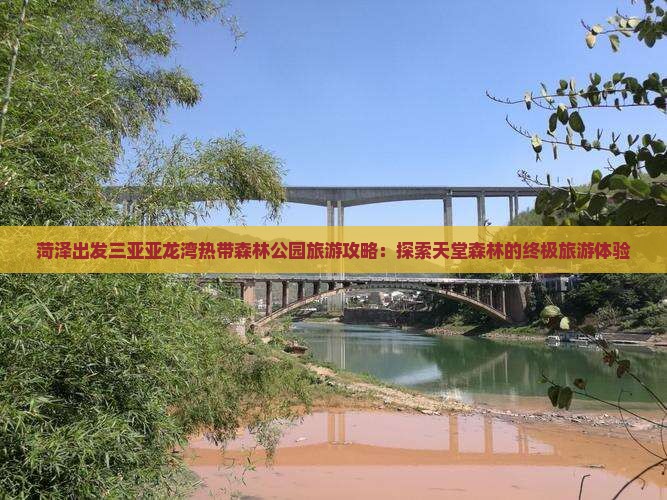 菏泽出发三亚亚龙湾热带森林公园旅游