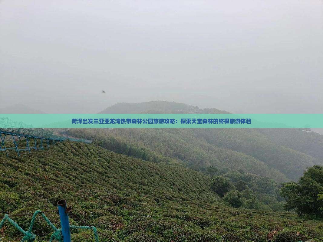 菏泽出发三亚亚龙湾热带森林公园旅游