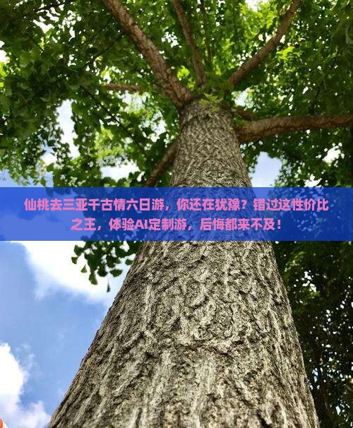 仙桃去三亚千古情六日游